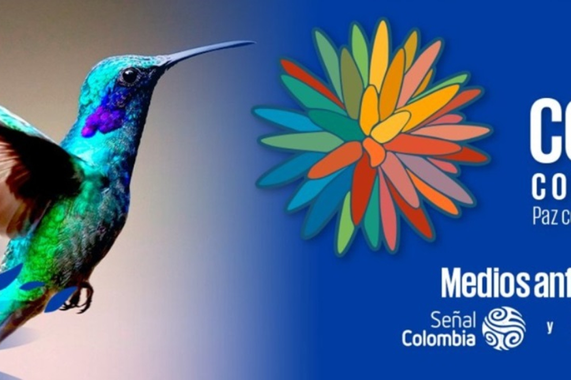 5 datos que exponen la importancia de la COP16