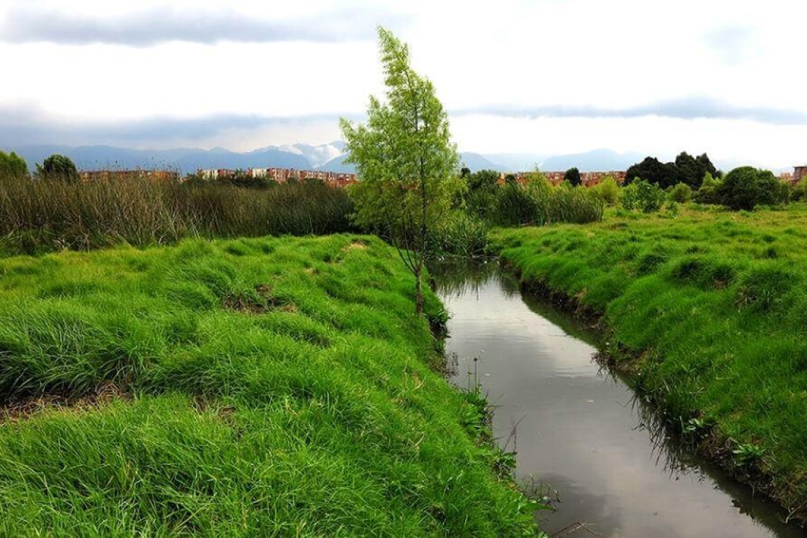 Conservación de humedales