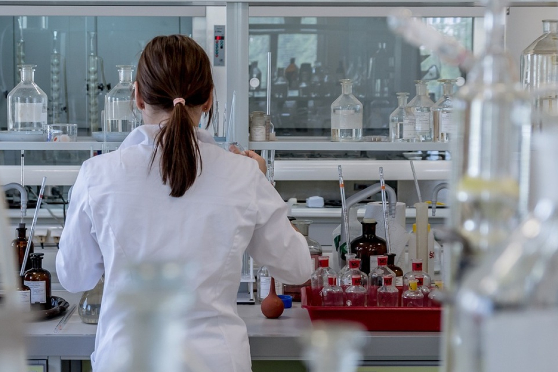 Seis meses para reglamentar la prohibición de animales en la industria cosmética