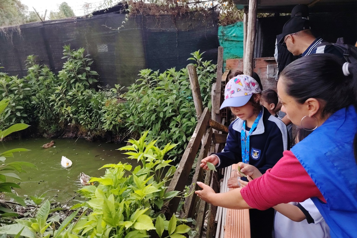Sembrar futuro: la naturaleza en la primera infancia