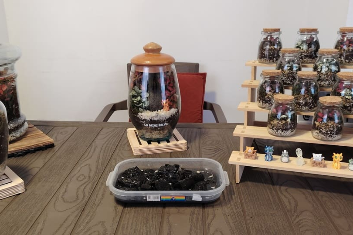 Terrarios: ecosistemas de bienestar en la capital