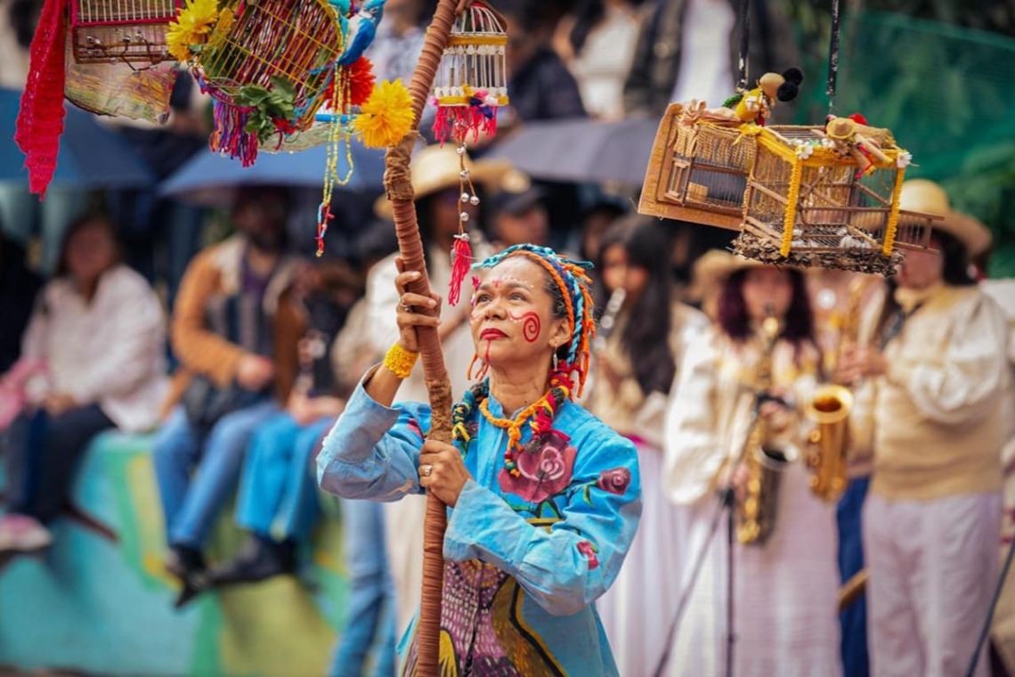 FIAV: arte que conquista regiones