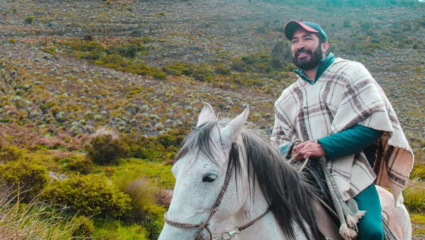 Consejo de Estado anula la elección de César Pachón Achury como Senador